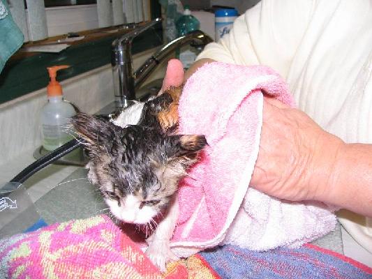 New Brunswick 2004 059.jpg